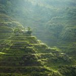 Philippines Discover Recover™