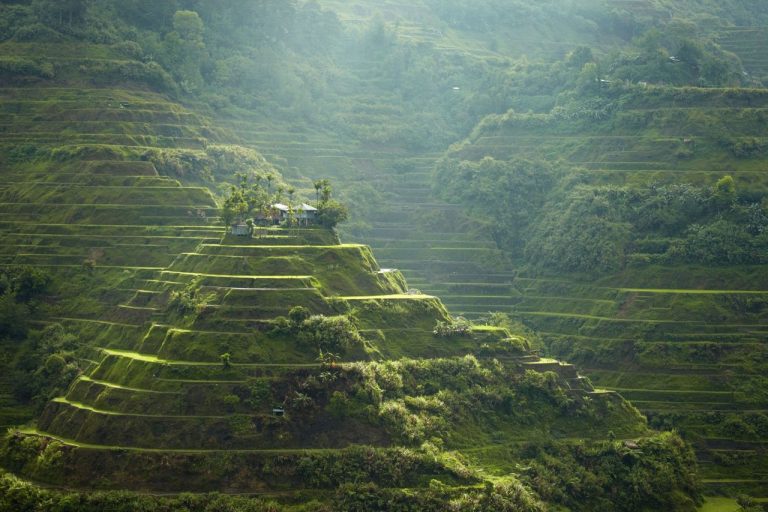 Philippines Discover Recover™