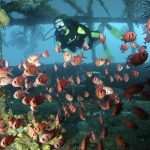 St Lucia Discover Recover™