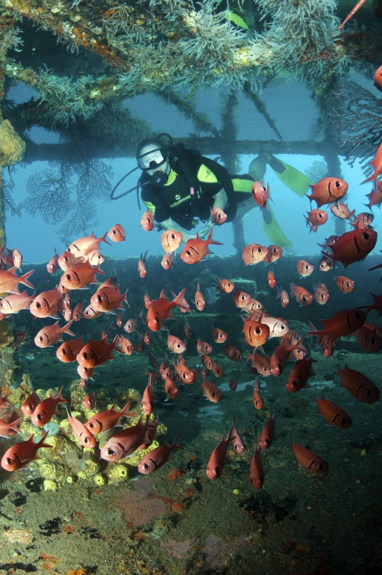 St Lucia Discover Recover™