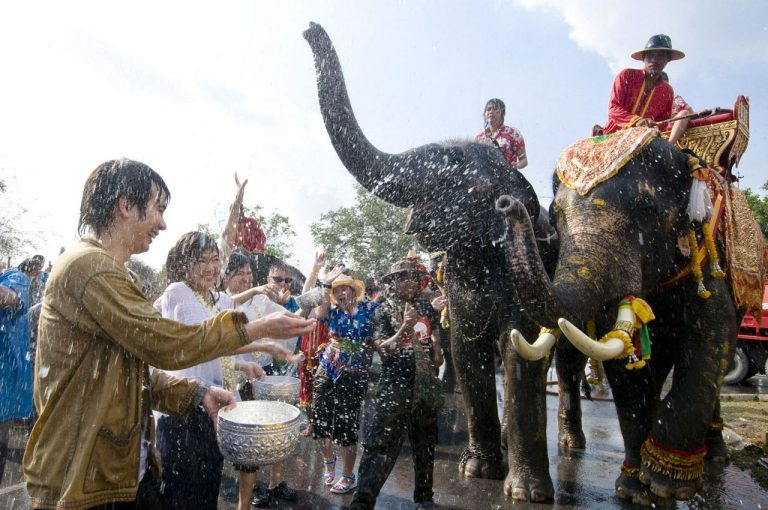 Thailand Discover Recover™