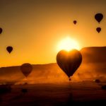 Turkey Discover Recover™