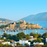 Turkey Discover Recover™