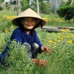 Vietnam Discover Recover™