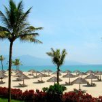 Vietnam Discover Recover™