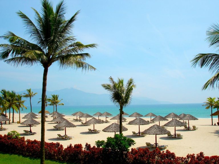 Vietnam Discover Recover™