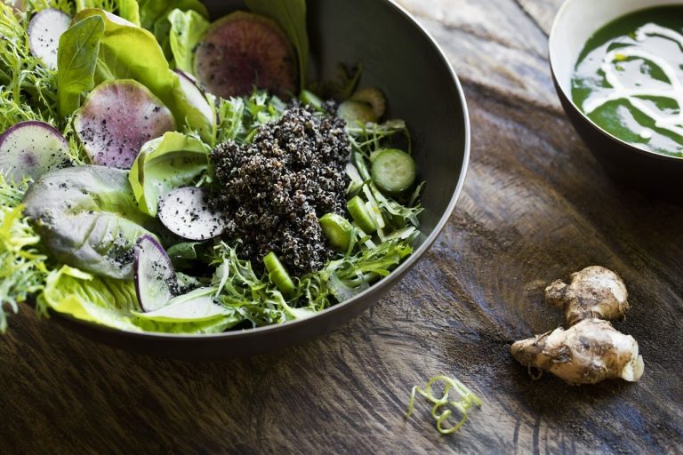 REVĪVŌ Wellness Resort