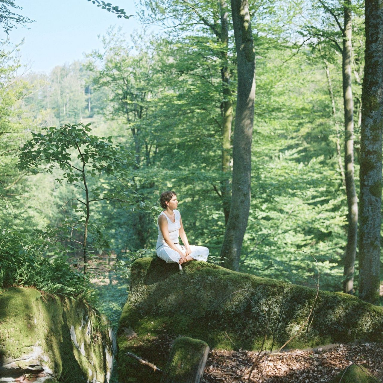 Forest Bathing at Lily of the Valley in France