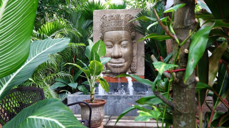 Samantha’s Snapshot Review of Phuket Cleanse