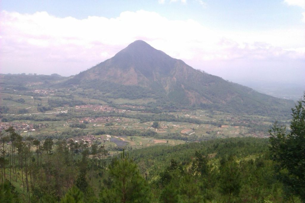 MesaStila Adventure Trail