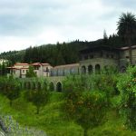 Signature Nutrigenomics at Euphoria Retreat