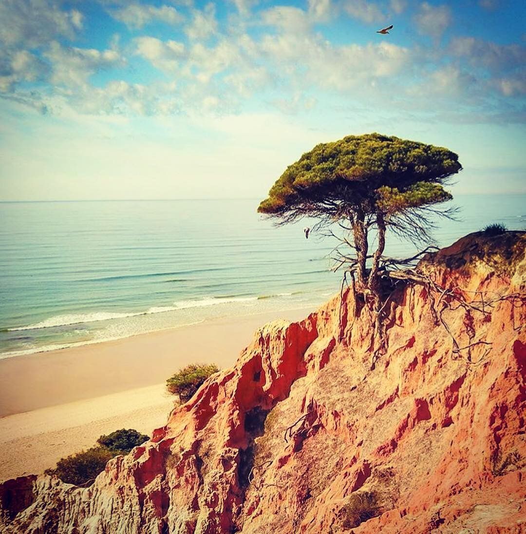 Faleisa Beach is right on your doorstep at Pine Cliffs