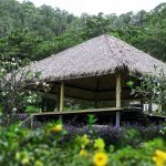 Mindfulness at Absolute Sanctuary