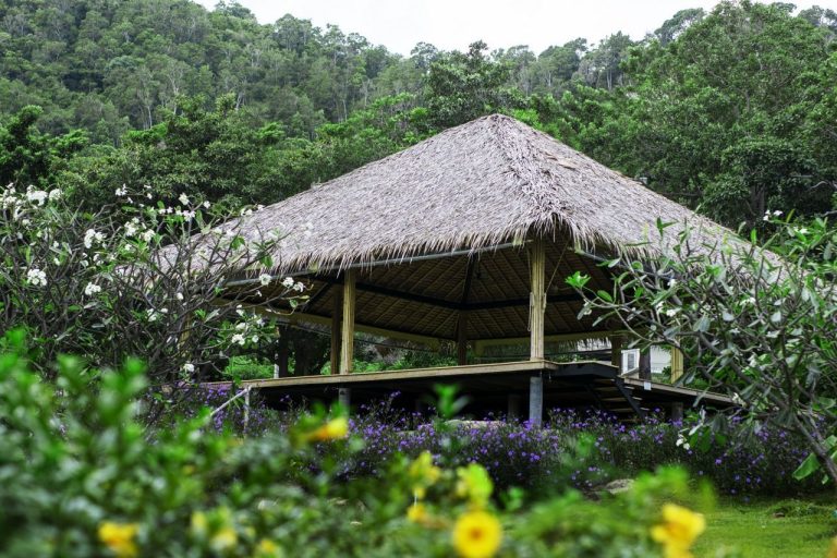 Mindfulness at Absolute Sanctuary