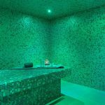 Longevity Health & Wellness Hotel