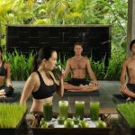 Detox at The Farm at San Benito