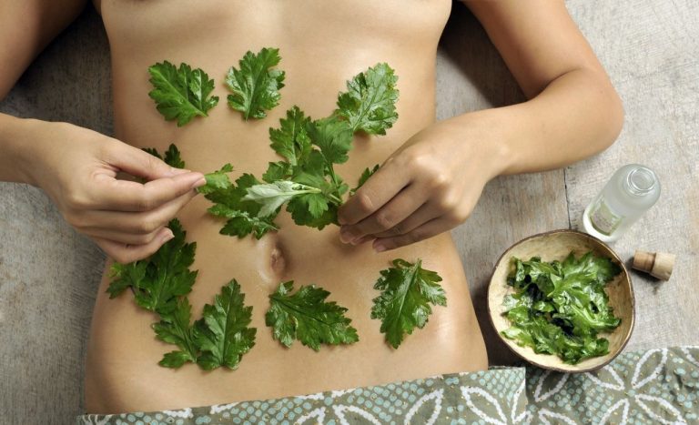 The Farm at San Benito