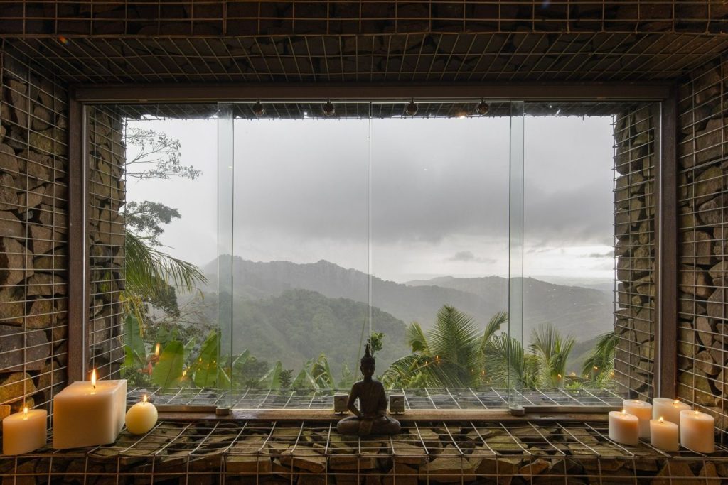 The Naked Challenge Signature Detox at The Retreat Costa Rica