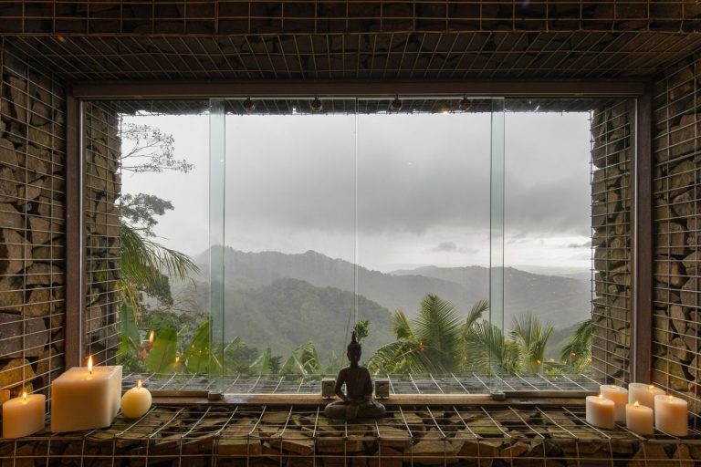 The Naked Challenge Signature Detox at The Retreat Costa Rica