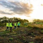 Glass House Detox & Wellness Retreat