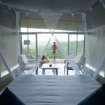 Immunity Boosting Detox at Santani Wellness Resort & Spa