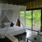 Immunity Boosting Detox at Santani Wellness Resort & Spa