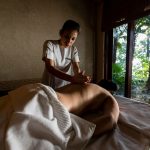 Chronic Pain Management at Ananda in the Himalayas