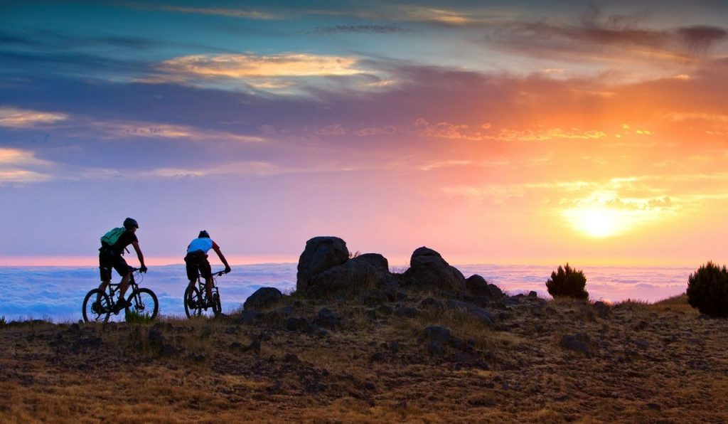 Best Winter Sun Wellness Retreats