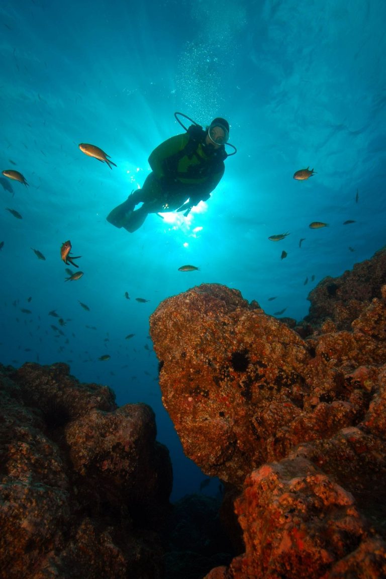 Ayurveda Immune Booster at Galo Resort