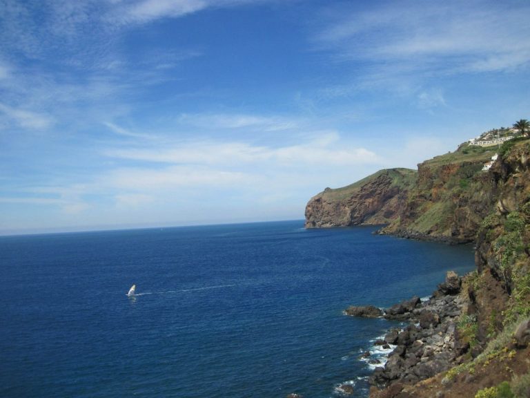 Ayurveda Immune Booster at Galo Resort