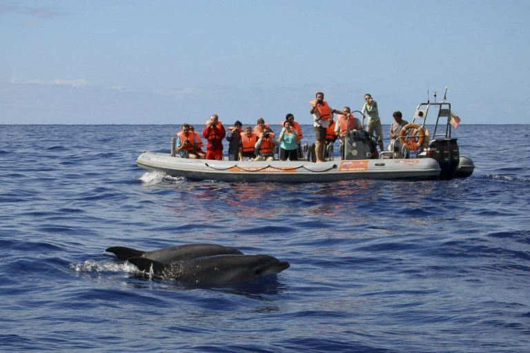 Ayurveda Immune Booster at Galo Resort