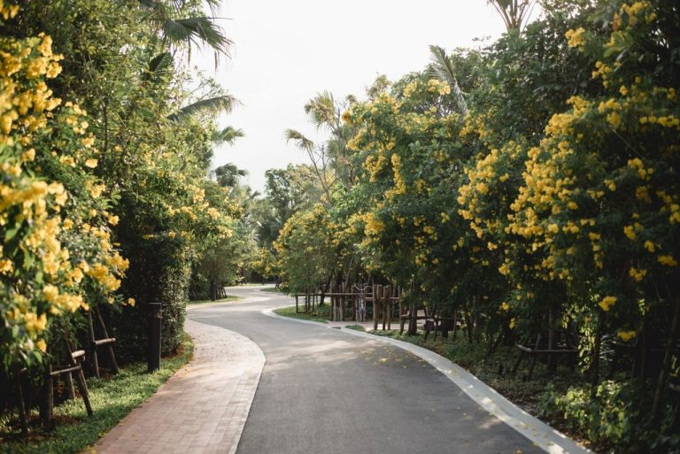 RAKxa Integrative Wellness