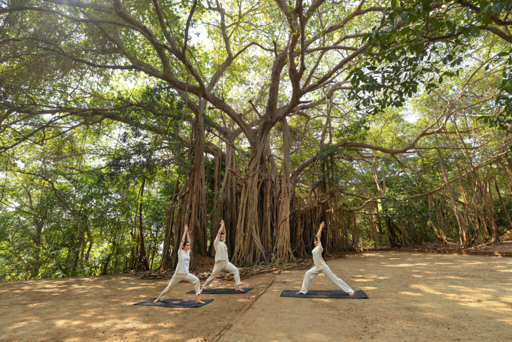 Nature Wellness Retreats for Healing Outdoors