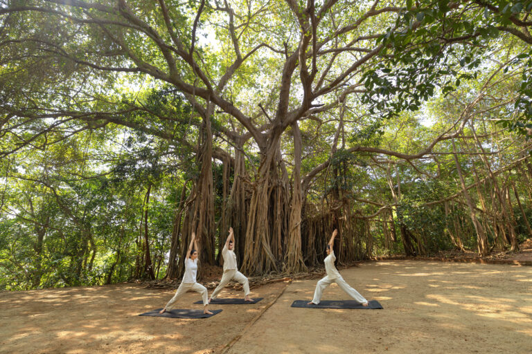 Nature Wellness Retreats for Healing Outdoors