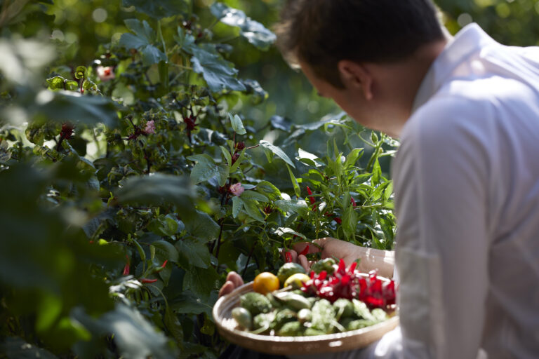 Weight Management at RAKxa Integrative Wellness