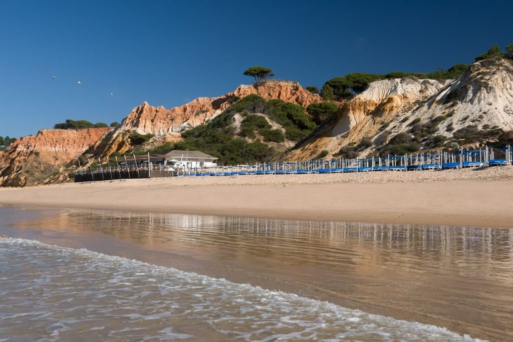 Experience Yoga at Pine Cliffs