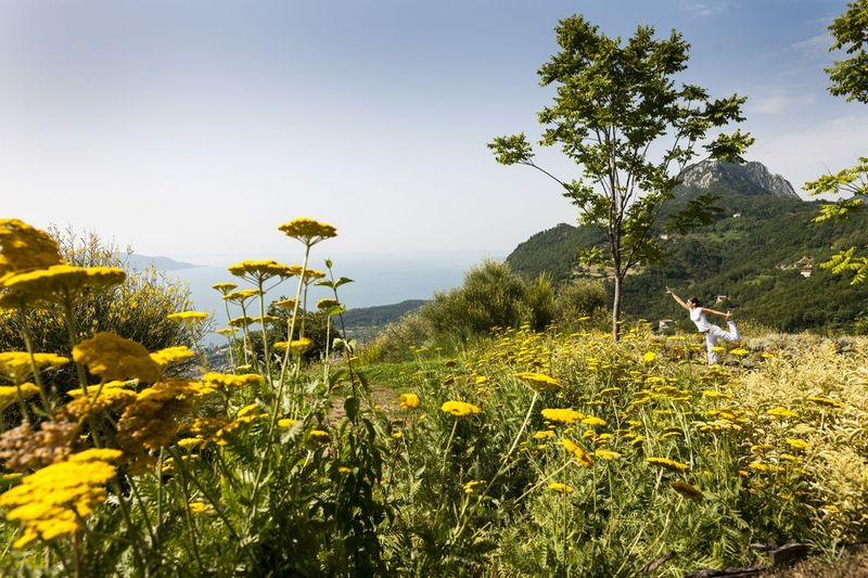 Woman practicing yoga in a meadow