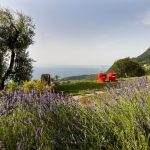 Longevity at Lefay Resort & Spa Lago di Garda
