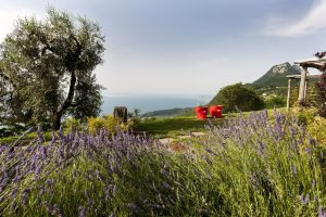 Longevity at Lefay Resort & Spa Lago di Garda