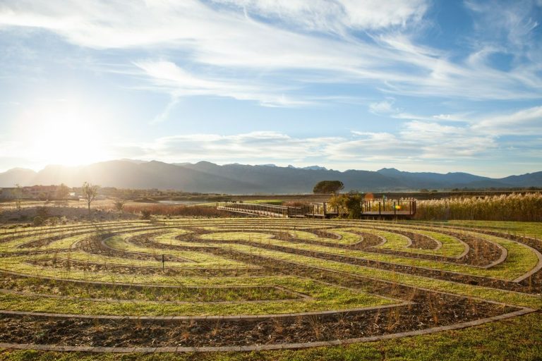 Emotional Balance at Santé Wellness Retreat & Spa