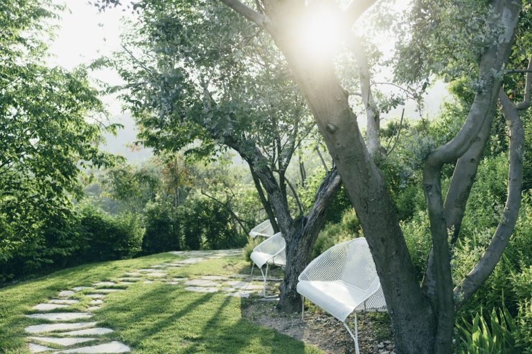 Immune System Booster at Lefay Resort and Spa Lago di Garda