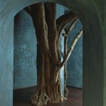 Immune System Booster at Lefay Resort and Spa Lago di Garda