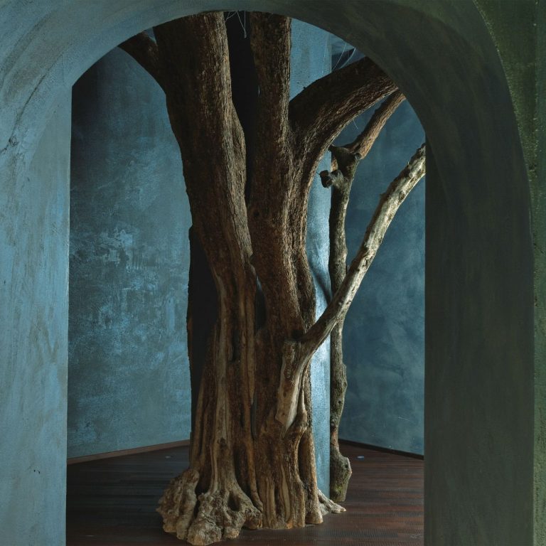 Immune System Booster at Lefay Resort and Spa Lago di Garda