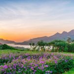 Super Immunity Boost at Atmantan Wellness Resort