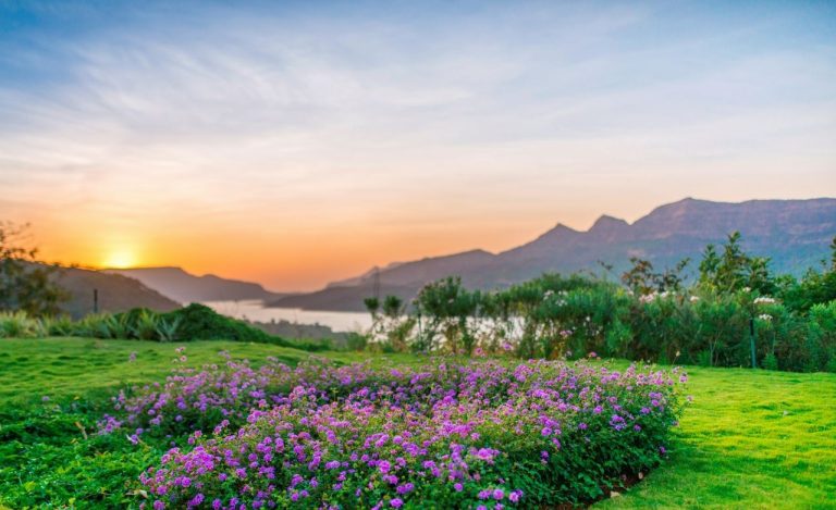 Super Immunity Boost at Atmantan Wellness Resort