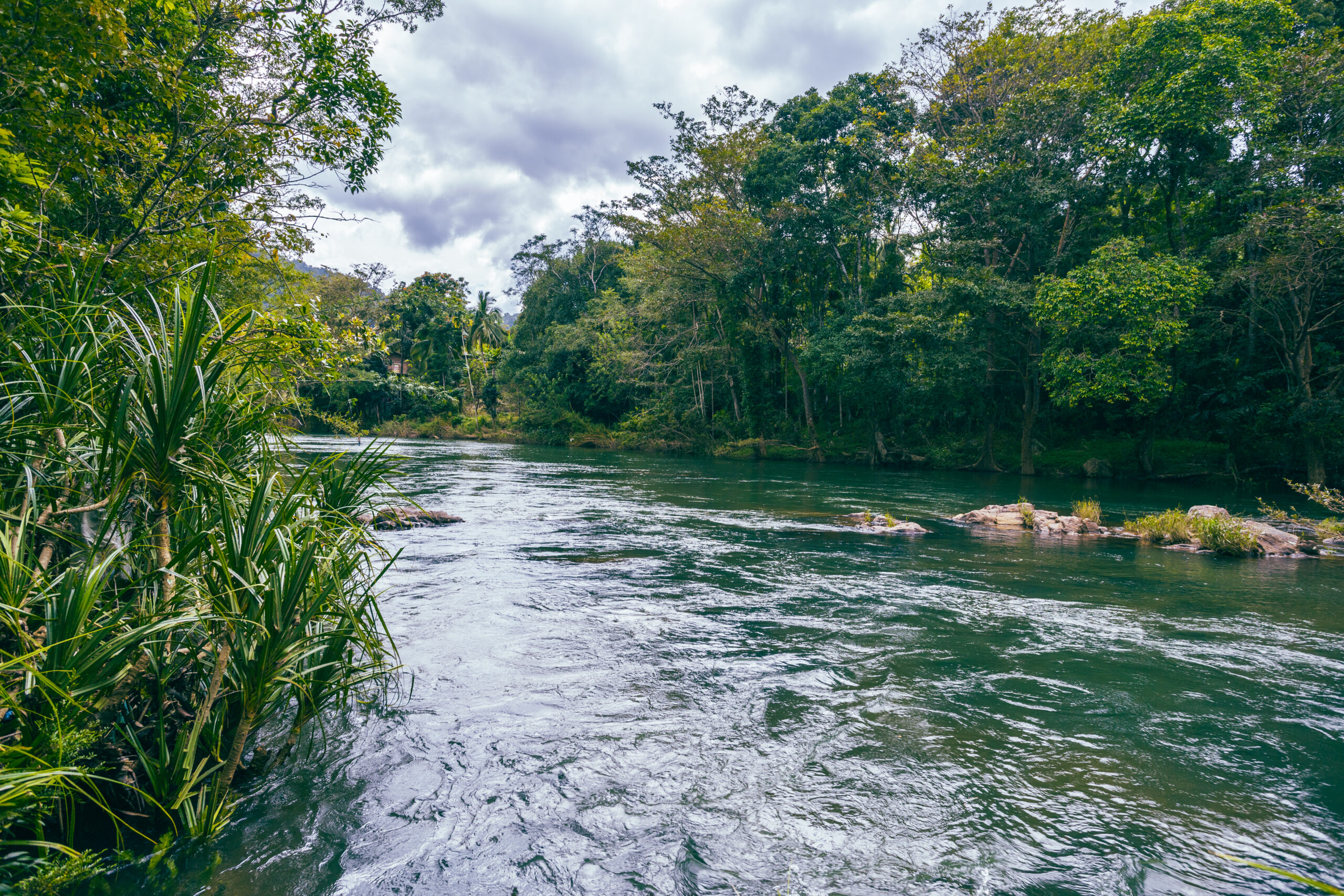 Activities & Group Classes