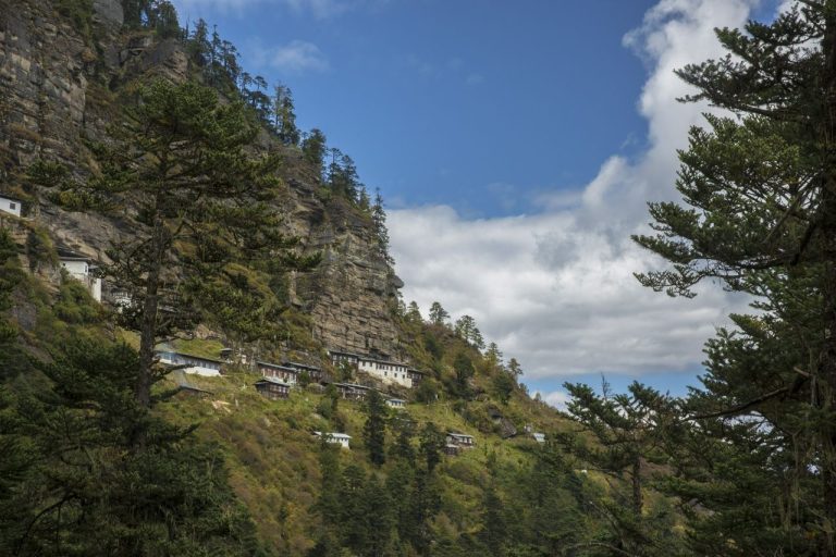 Explore Nature at Pine Cliffs