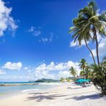 Fusion Fitness™ at StolenTime