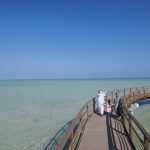 Therapeutic Cleanse at Zulal Wellness Resort