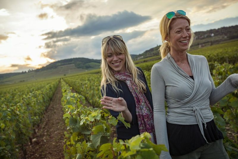 Hiking through a Vineyard in France 